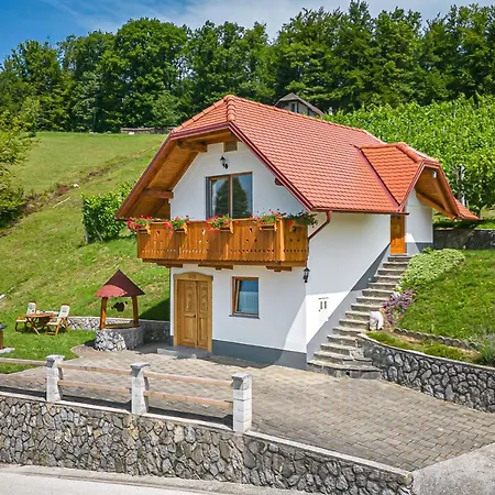 Tatil Evi Vineyard Krivic - Happy