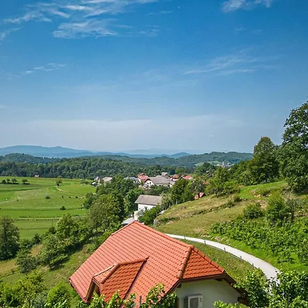 Tatil Evi Vineyard Krivic - Happy