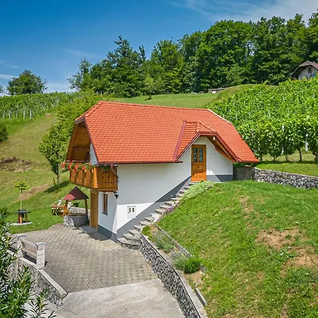 Vineyard Krivic - Happy Tatil Evi
