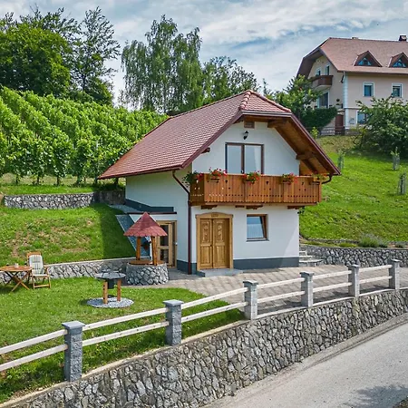 Tatil Evi Vineyard Krivic - Happy *