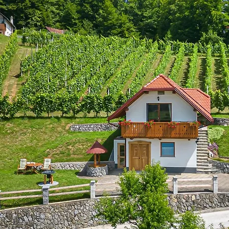 Vineyard Krivic - Happy * Trebelno